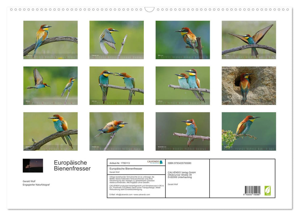 Europäische Bienenfresser (CALVENDO Wandkalender 2025)