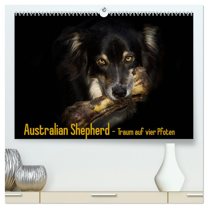 Australian Shepherd - Traum auf vier Pfoten (CALVENDO Premium Wandkalender 2025)