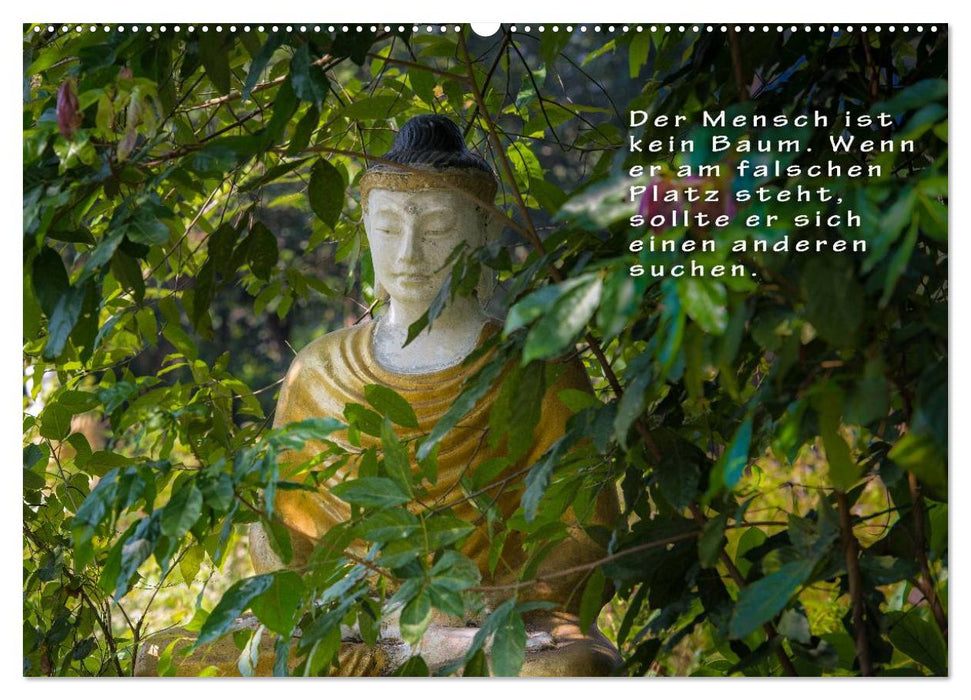 BUDDHAS WEISHEITEN - Balsam für die Seele (CALVENDO Premium Wandkalender 2025)