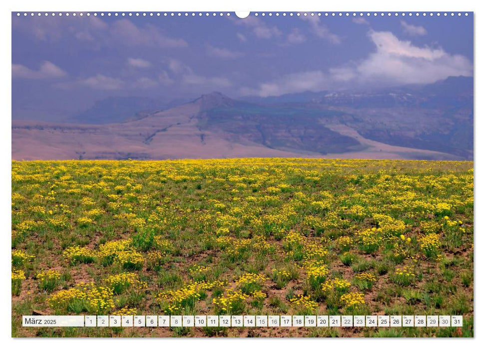 Südafrika / Landschaften & Tiere / Christian Heeb (CALVENDO Premium Wandkalender 2025)