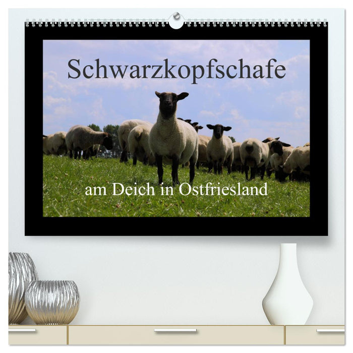 Schwarzkopfschafe am Deich in Ostfriesland (CALVENDO Premium Wandkalender 2025)