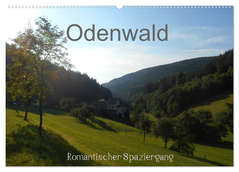 Odenwald - Romantischer Spaziergang (CALVENDO Wandkalender 2025)