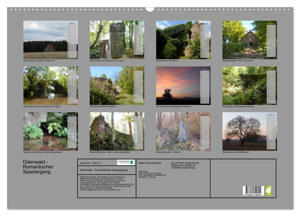 Odenwald - Romantischer Spaziergang (CALVENDO Wandkalender 2025)