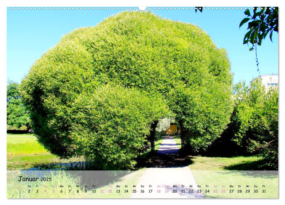 WEGE ENTDECKEN (CALVENDO Premium Wandkalender 2025)