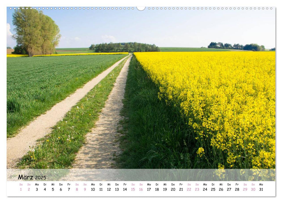 WEGE ENTDECKEN (CALVENDO Premium Wandkalender 2025)