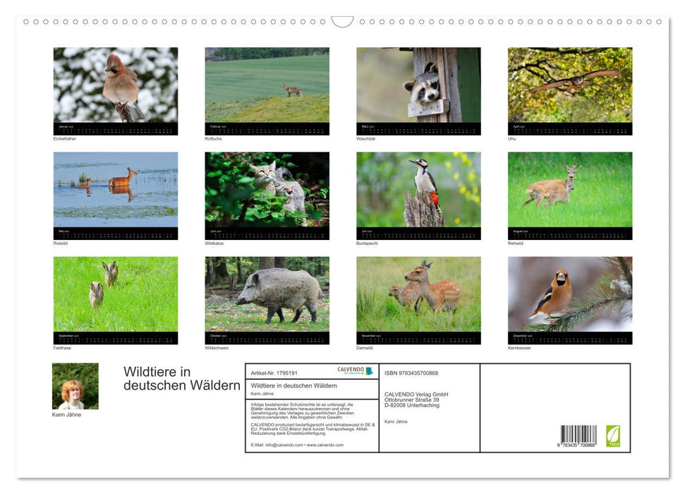 Wildtiere in deutschen Wäldern (CALVENDO Wandkalender 2025)