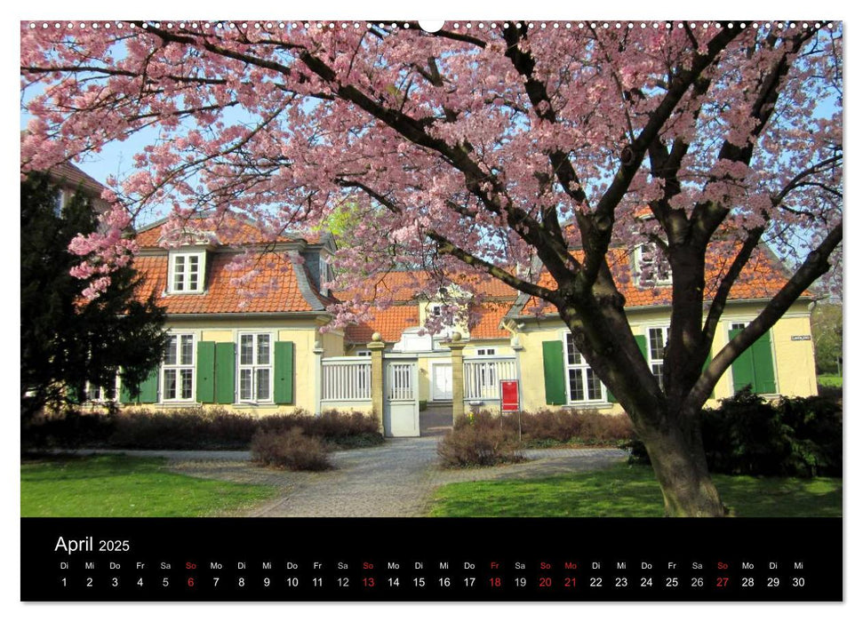 Wolfenbütteler Stadtansichten (CALVENDO Premium Wandkalender 2025)