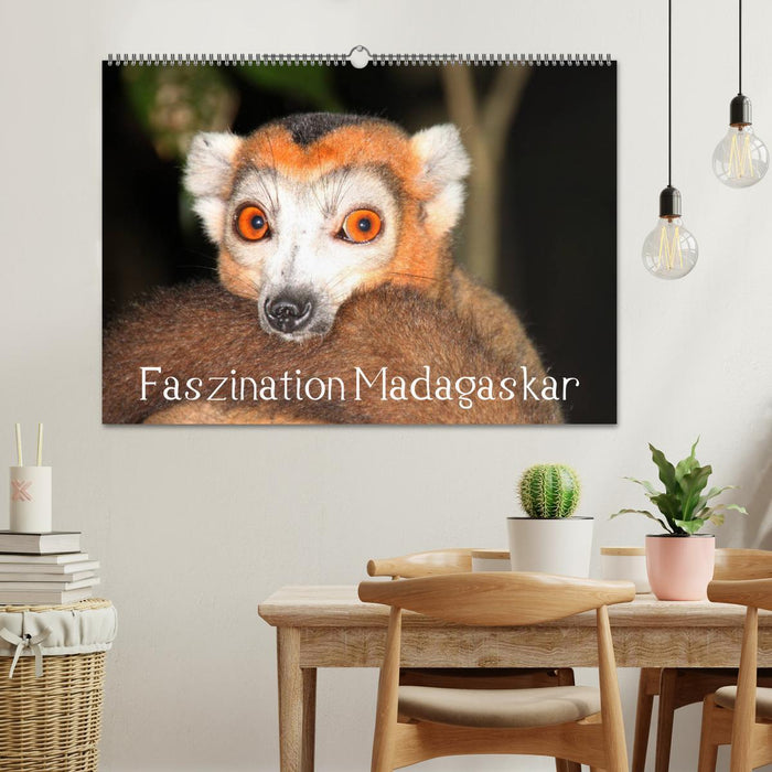 Faszination Madagaskar (CALVENDO Wandkalender 2025)