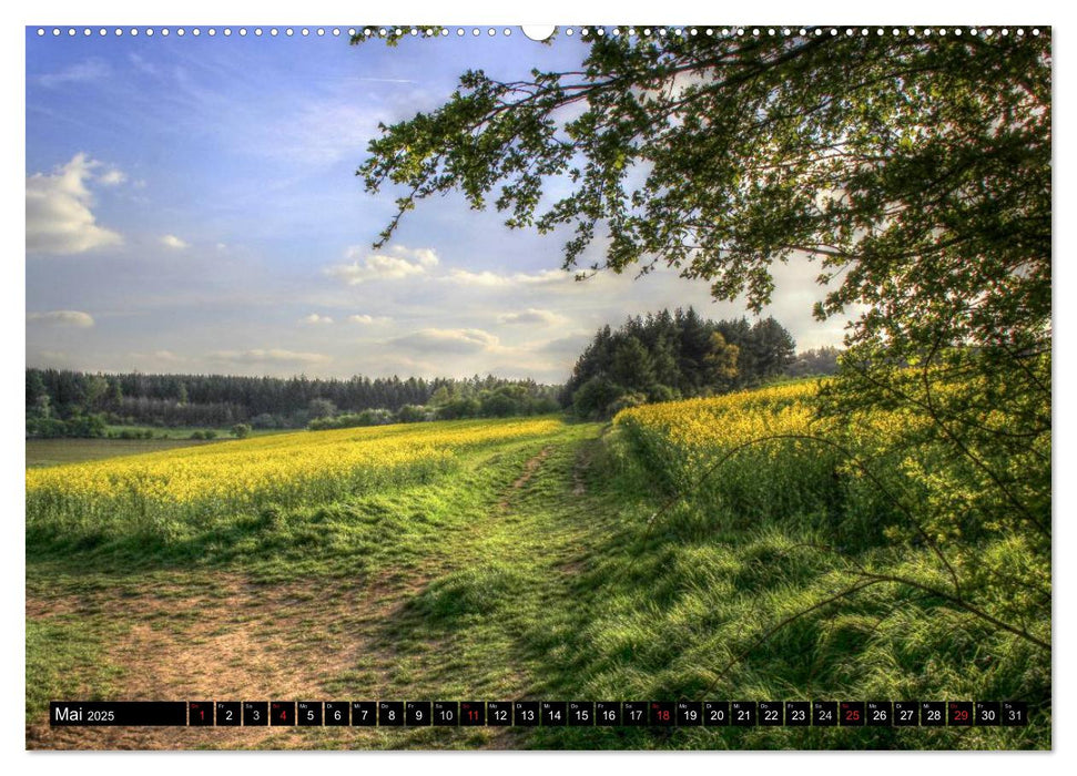 Faszination Eifel (CALVENDO Premium Wandkalender 2025)