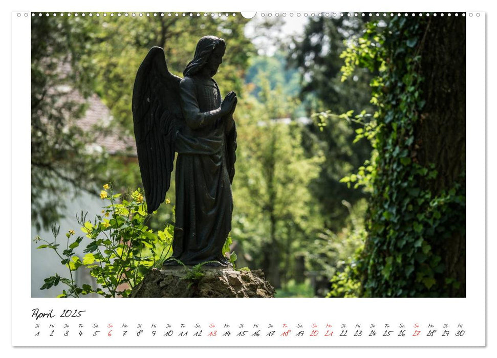 Alter Friedhof Freiburg (CALVENDO Premium Wandkalender 2025)