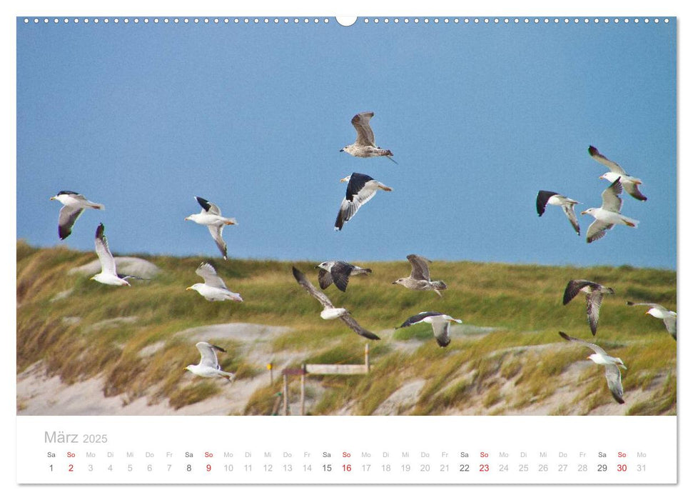 Sylt im Herbst (CALVENDO Premium Wandkalender 2025)