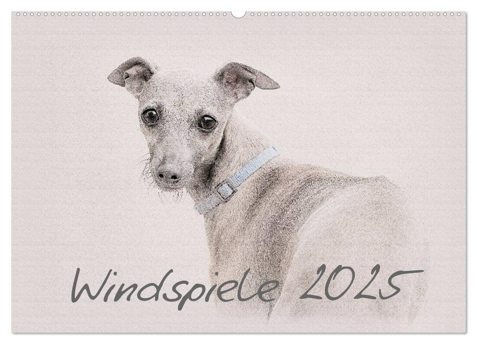 Windspiele 2025 (CALVENDO Wandkalender 2025)