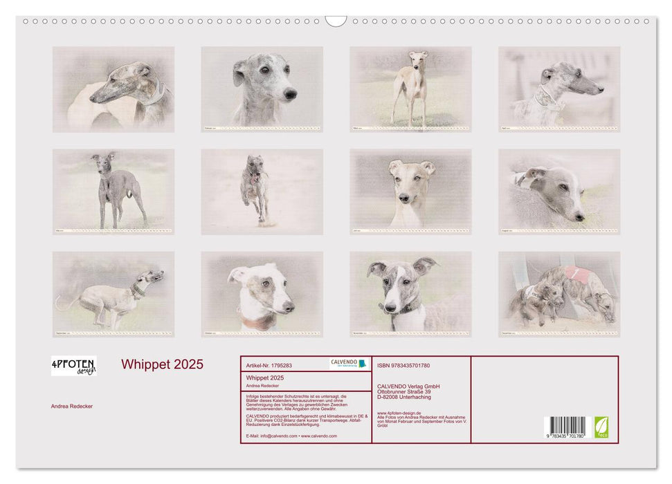 Whippet 2025 (CALVENDO Wandkalender 2025)