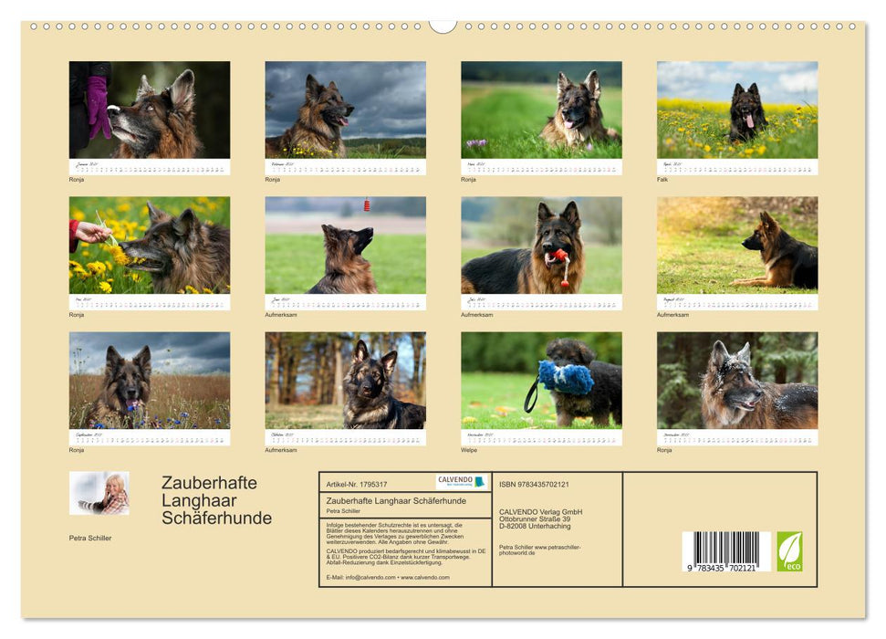 Zauberhafte Langhaar Schäferhunde (CALVENDO Premium Wandkalender 2025)