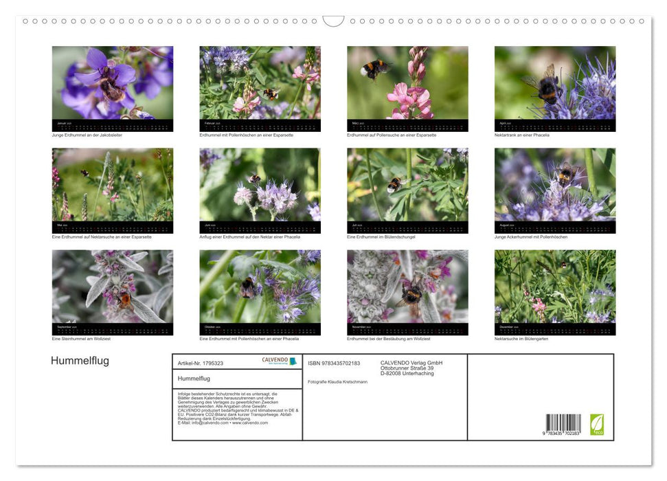 Hummelflug (CALVENDO Wandkalender 2025)