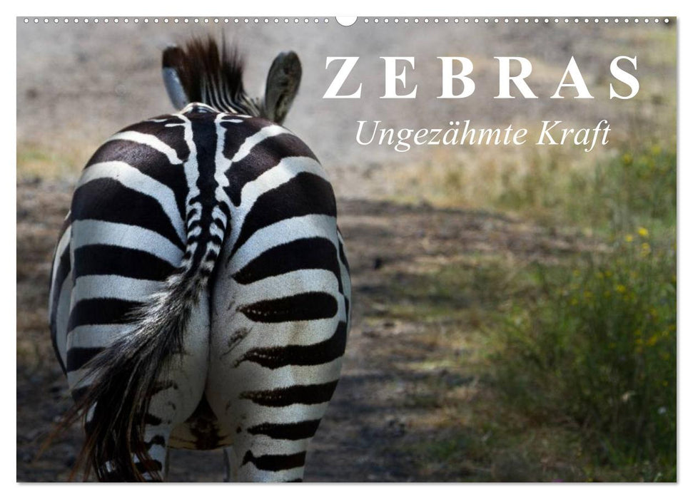 Zebras - Ungezähmte Kraft (CALVENDO Wandkalender 2025)