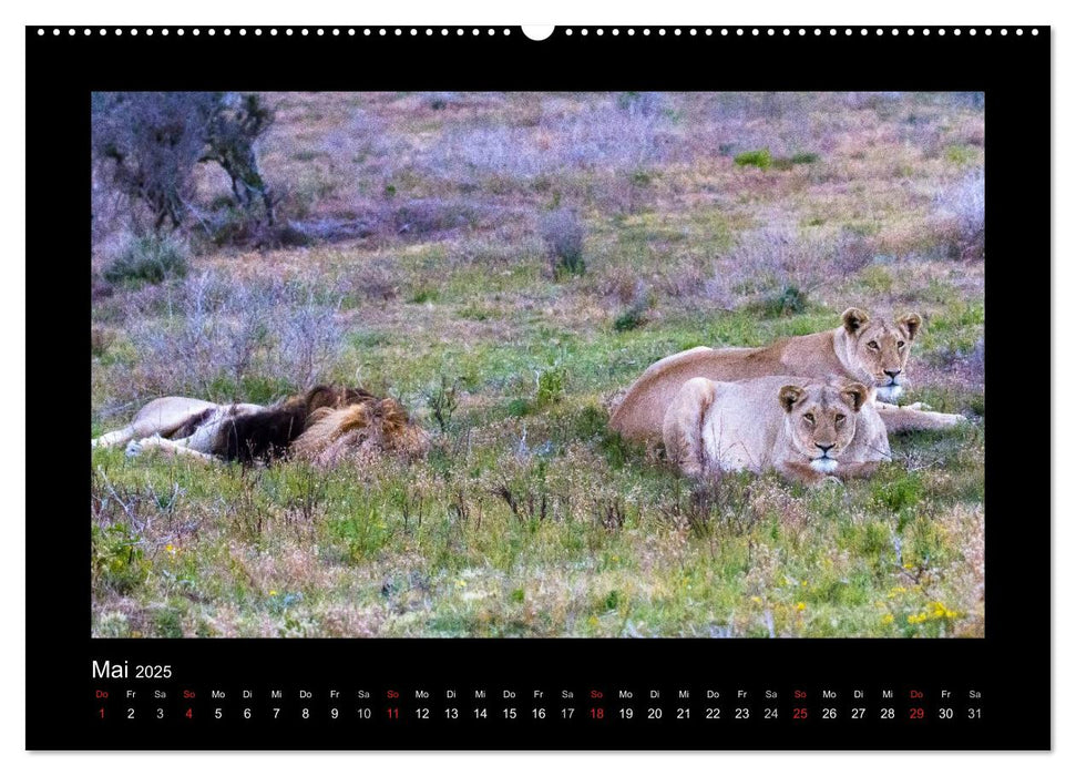 Südafrika - Garden Route (CALVENDO Premium Wandkalender 2025)