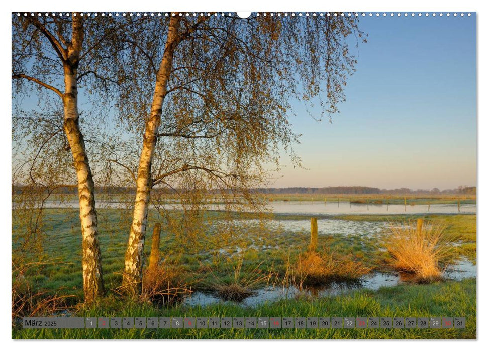 Der Niederrhein im Wandel der Jahreszeiten (CALVENDO Premium Wandkalender 2025)