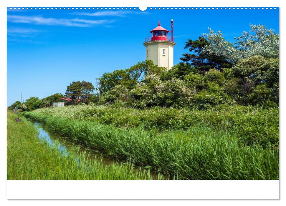 Fehmarn - "fe mer" natürlich "am Meer gelegen" (CALVENDO Premium Wandkalender 2025)