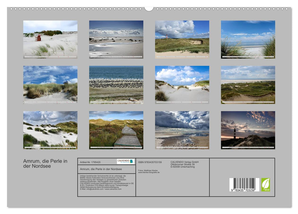 Amrum, die Perle in der Nordsee (CALVENDO Premium Wandkalender 2025)