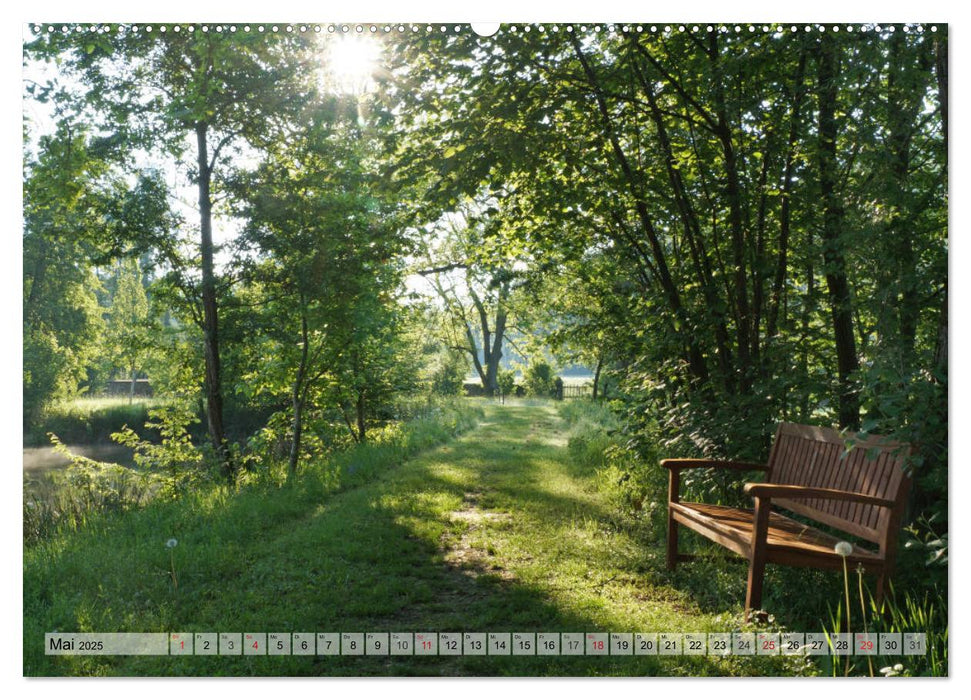 Die gute alte Holzbank (CALVENDO Wandkalender 2025)