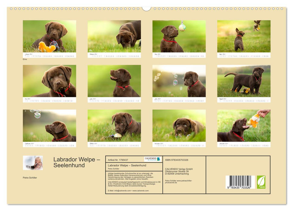 Labrador Welpe – Seelenhund (CALVENDO Premium Wandkalender 2025)