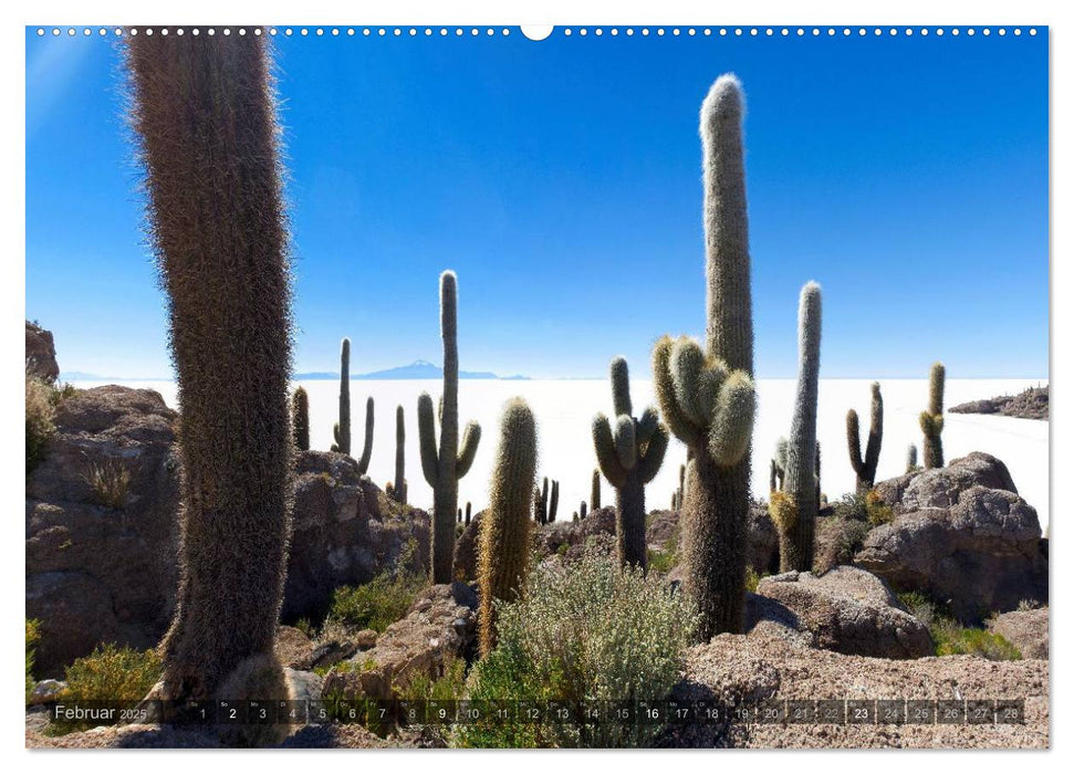 Peru & Bolivien - Die Landschaft (CALVENDO Premium Wandkalender 2025)