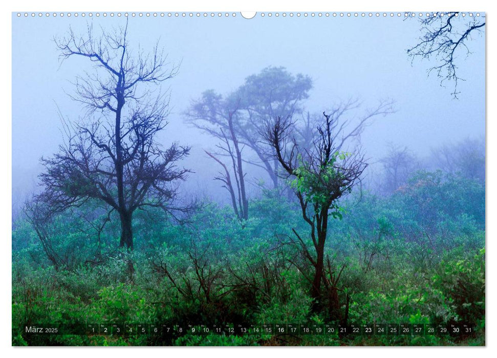 Namibia - Die Landschaft (CALVENDO Premium Wandkalender 2025)