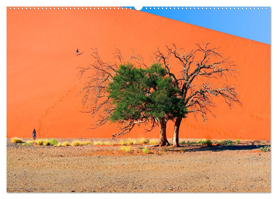 Namibia - Die Landschaft (CALVENDO Premium Wandkalender 2025)