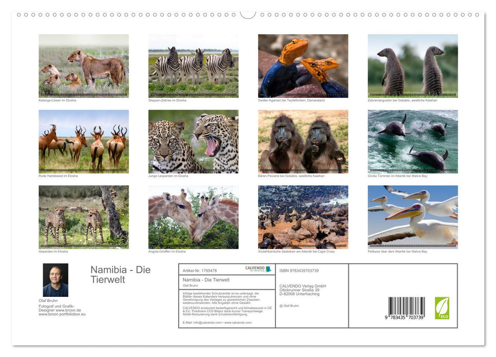 Namibia - Die Tierwelt (CALVENDO Premium Wandkalender 2025)