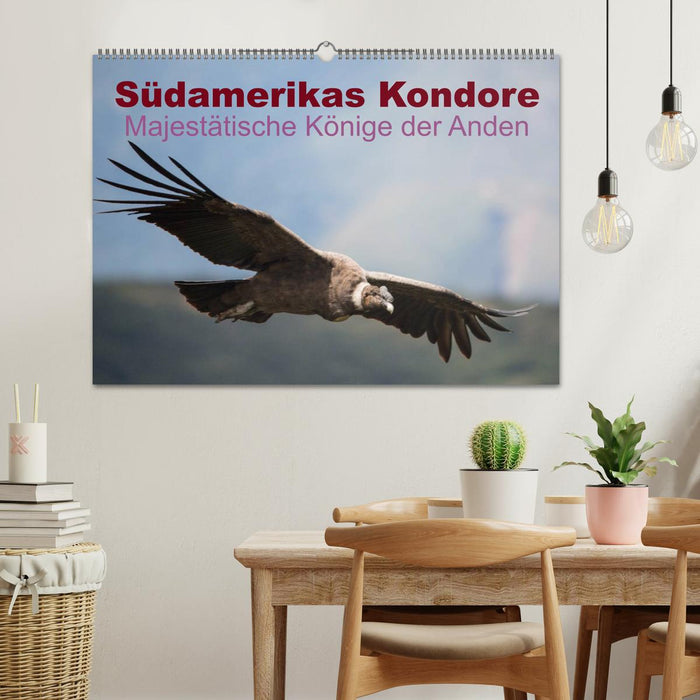 Südamerikas Kondore - Majestätische Könige der Anden (CALVENDO Wandkalender 2025)