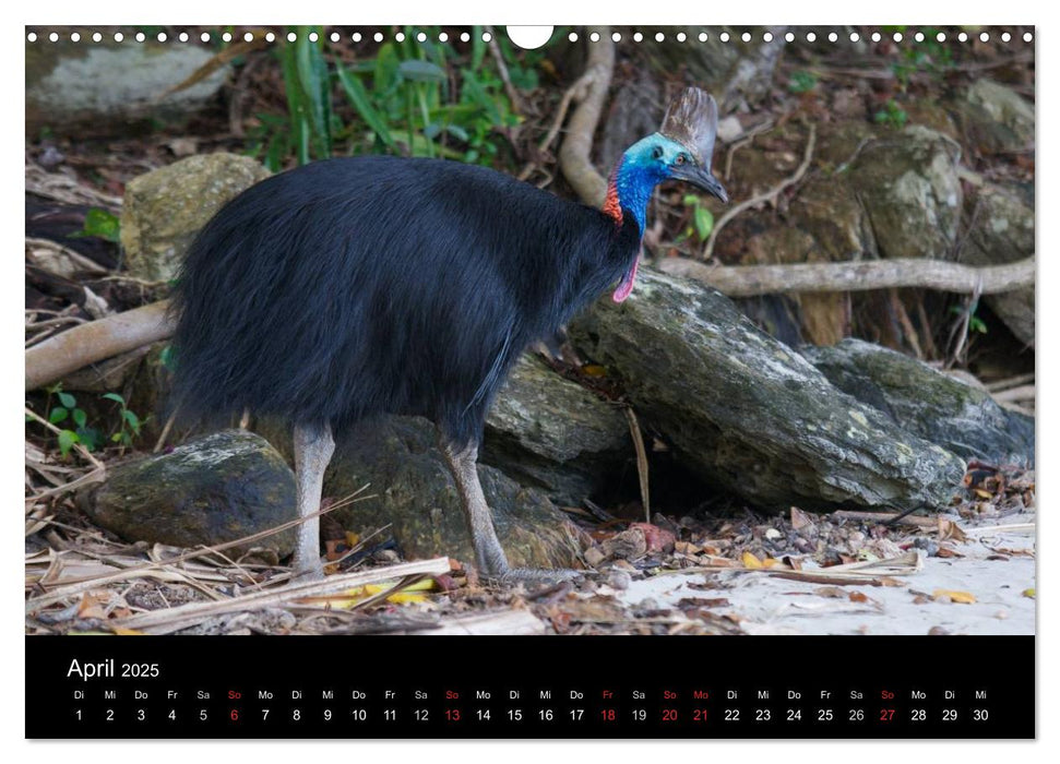 Wildes Australien - Naturparadies 5. Kontinent (CALVENDO Wandkalender 2025)