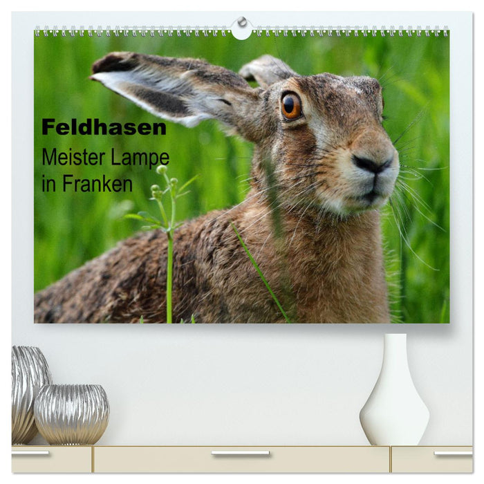 Feldhasen - Meister Lampe in Franken (CALVENDO Premium Wandkalender 2025)