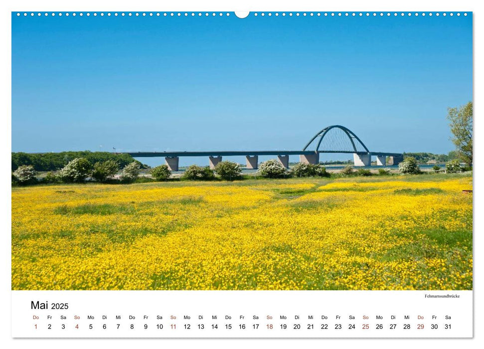 OSTSEE Wunderschönes Deutschland (CALVENDO Premium Wandkalender 2025)