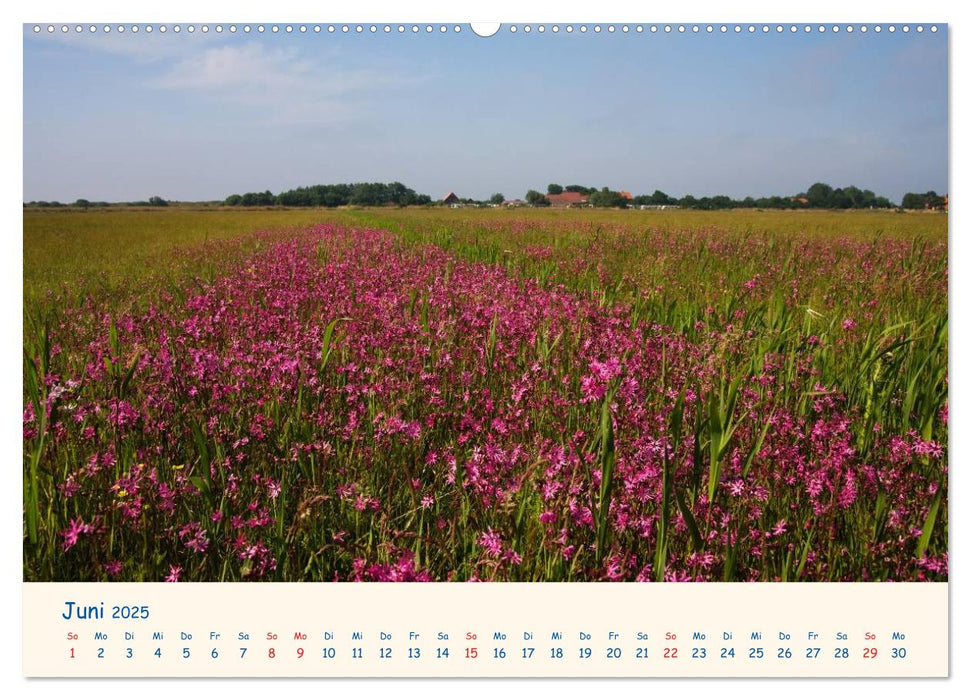 Urlaub auf Borkum (CALVENDO Premium Wandkalender 2025)