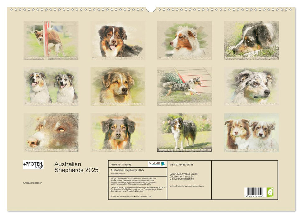 Australian Shepherds 2025 (CALVENDO Wandkalender 2025)