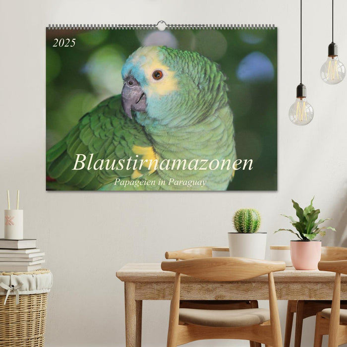 Blaustirnamazonen - Papageien in Paraguay (CALVENDO Wandkalender 2025)