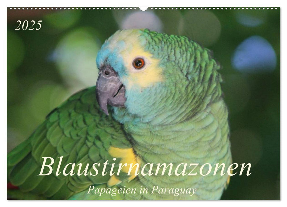 Blaustirnamazonen - Papageien in Paraguay (CALVENDO Wandkalender 2025)