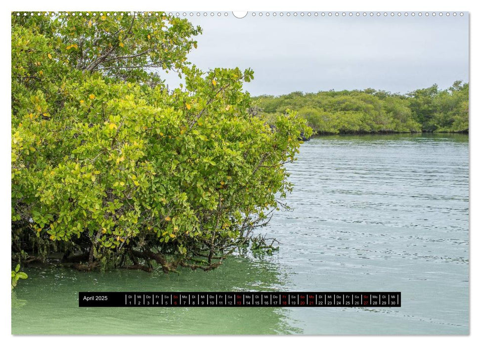 Galapagos- Landschaften (CALVENDO Wandkalender 2025)