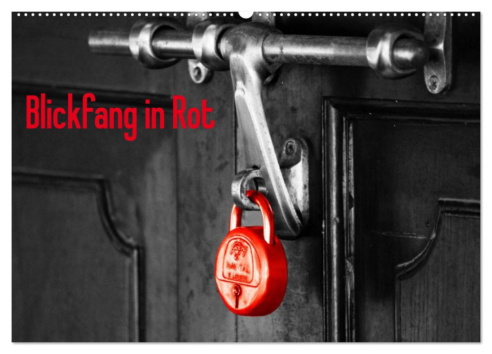 Blickfang in Rot (CALVENDO Wandkalender 2025)