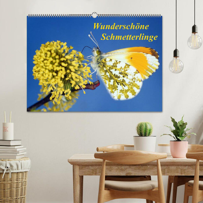 Wunderschöne Schmetterlinge (CALVENDO Wandkalender 2025)