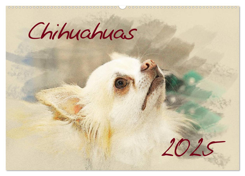 Chihuahuas 2025 (CALVENDO Wandkalender 2025)