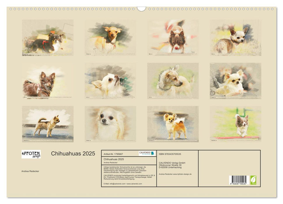 Chihuahuas 2025 (CALVENDO Wandkalender 2025)