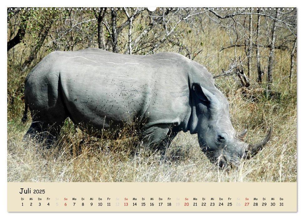 Süd Afrika - vom Krüger Nationalpark bis nach Kapstadt (CALVENDO Premium Wandkalender 2025)