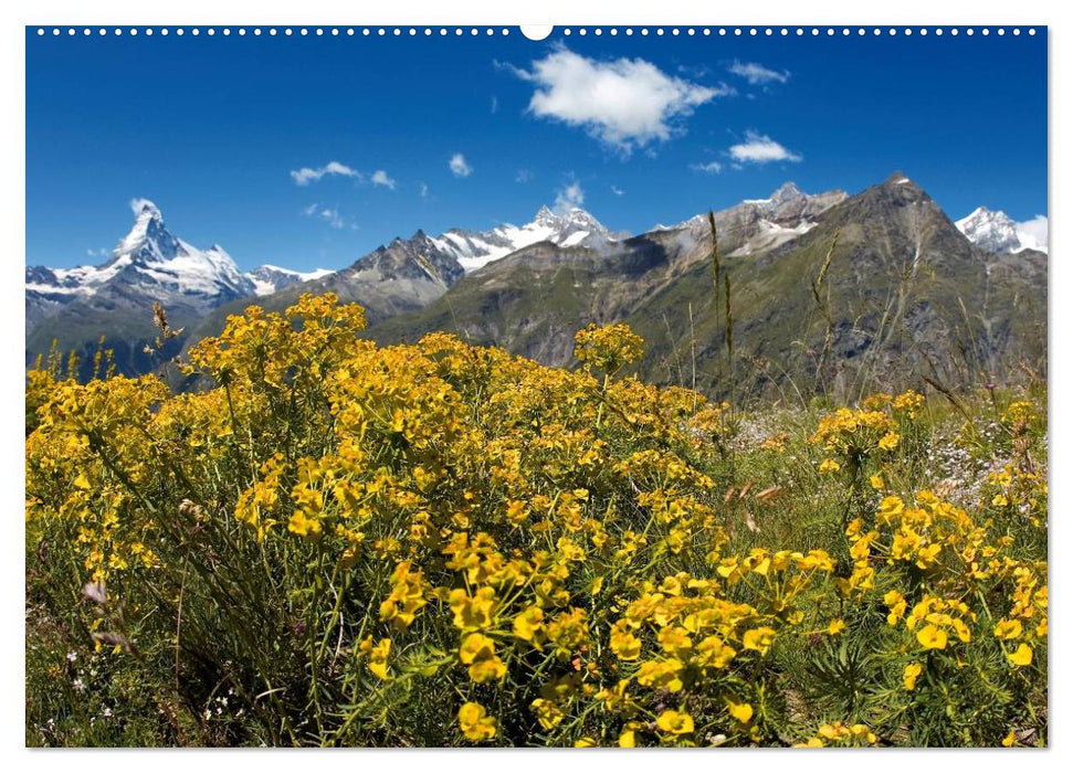 Alpen live - Rund um das Matterhorn (CALVENDO Premium Wandkalender 2025)