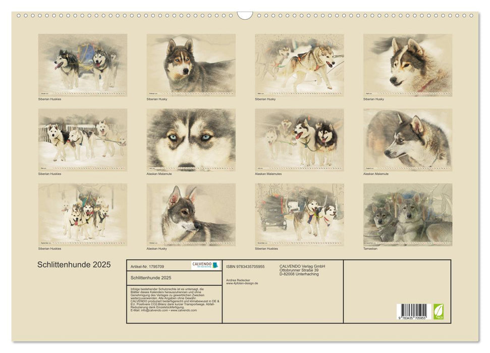 Schlittenhunde 2025 (CALVENDO Wandkalender 2025)