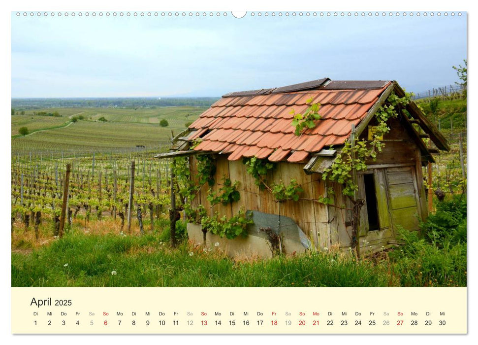 Schöne Landschaften in Deutschland (CALVENDO Wandkalender 2025)