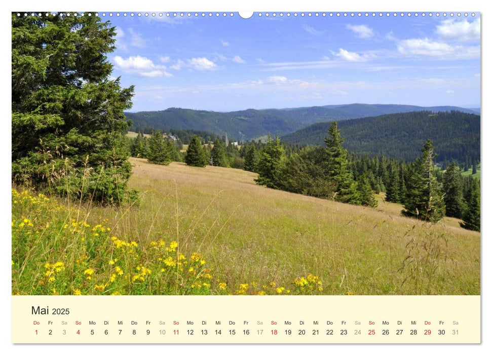 Schöne Landschaften in Deutschland (CALVENDO Wandkalender 2025)