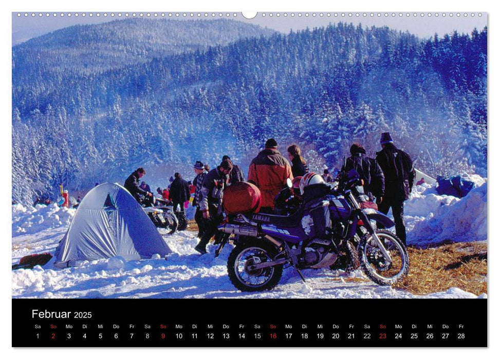 Bayerischer Wald (CALVENDO Premium Wandkalender 2025)