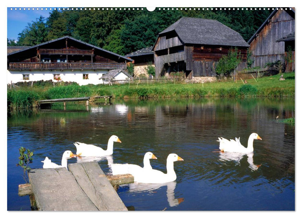 Bayerischer Wald (CALVENDO Premium Wandkalender 2025)